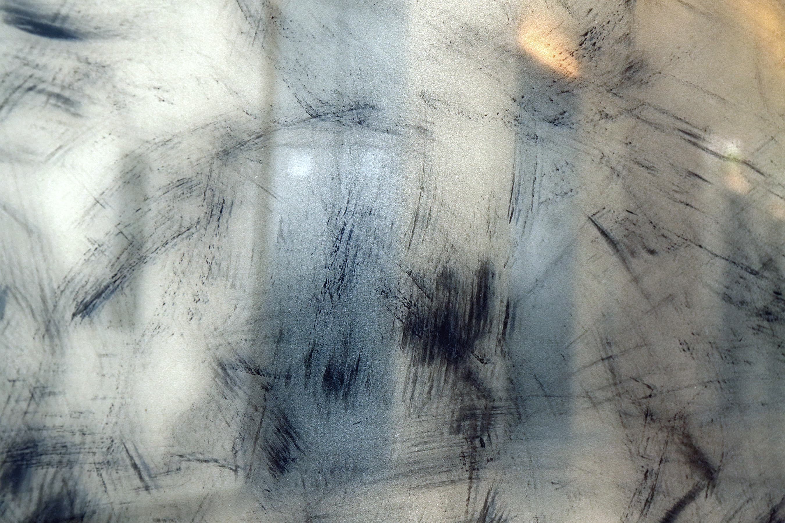 Nicole Chesney, Clarus, 2012