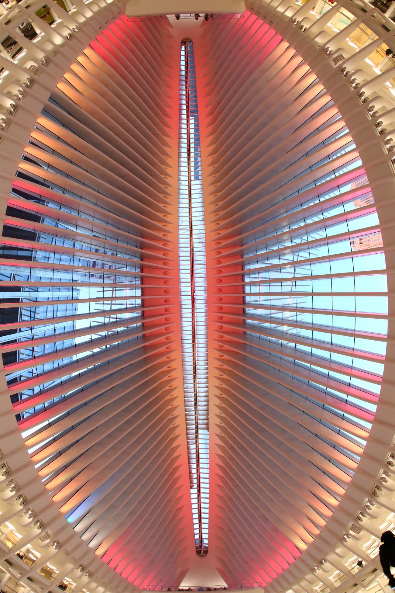 Santiago Calatrava, The Oculus, 2016
