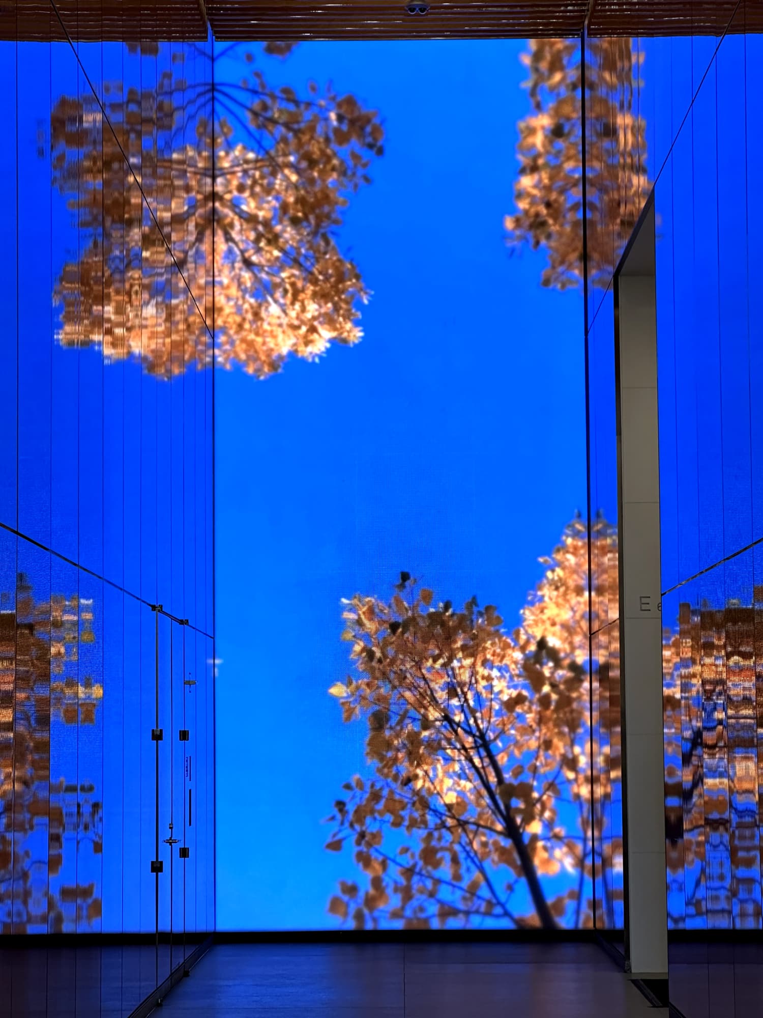 Thinc Design / Sanan Media, Elevator Banks at 4TWC